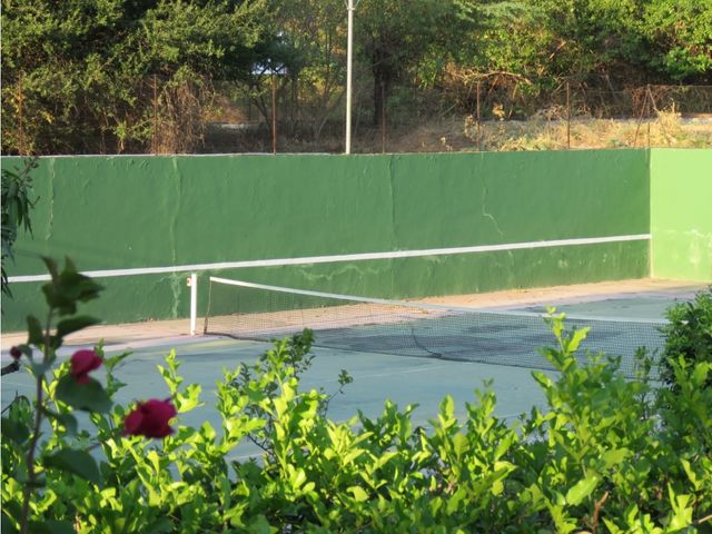 place photo 17