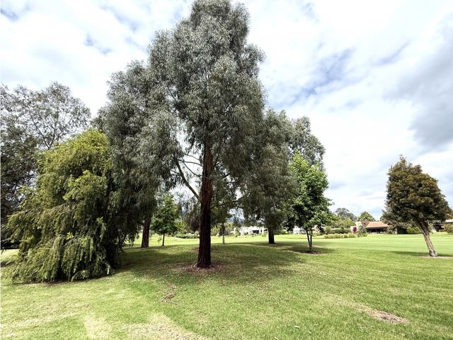 place photo 48