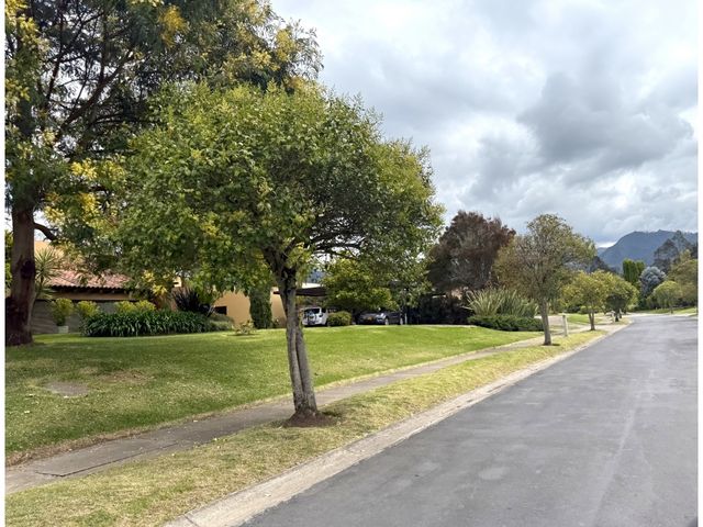 place photo 49