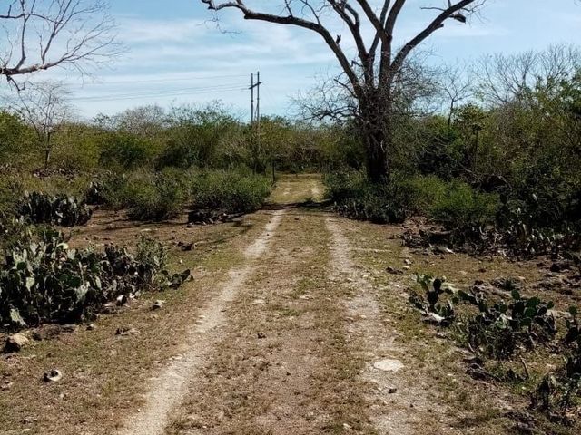 place photo 8