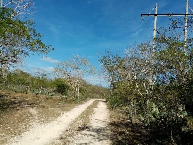 place photo 7