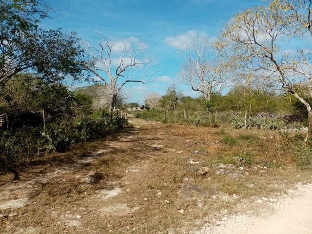place photo 10