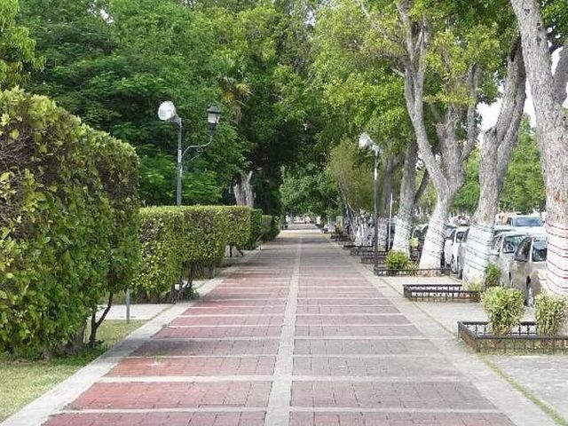 place photo 25