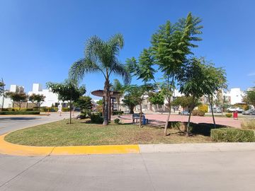 place photo 11