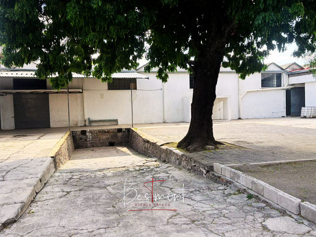 place photo 19