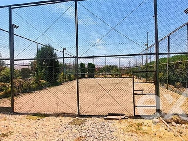 place photo 27