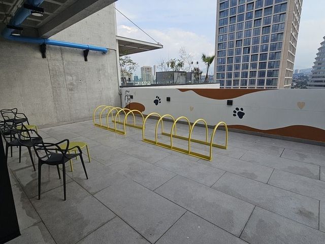 place photo 42