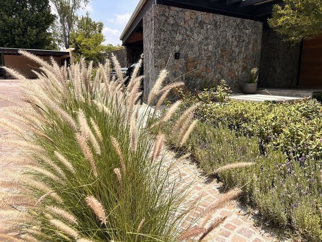 place photo 37
