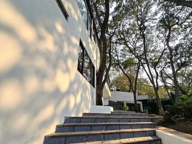 place photo 40