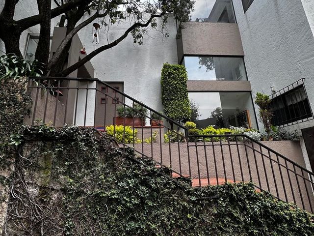 place photo 48