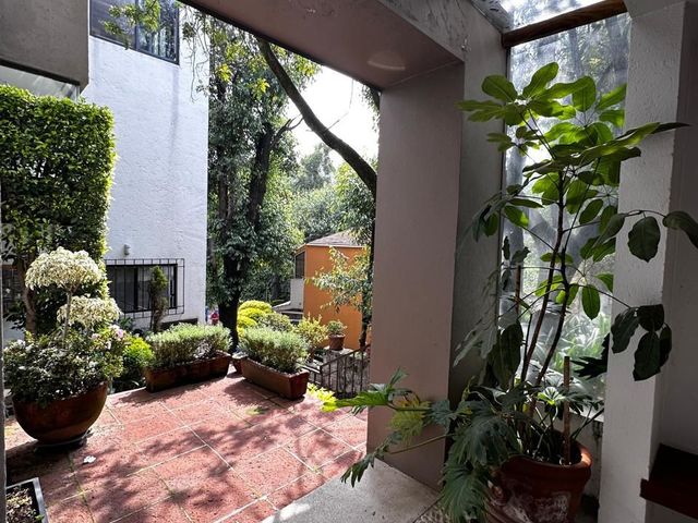 place photo 45