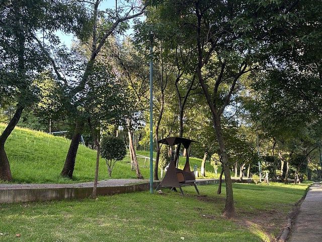 place photo 31