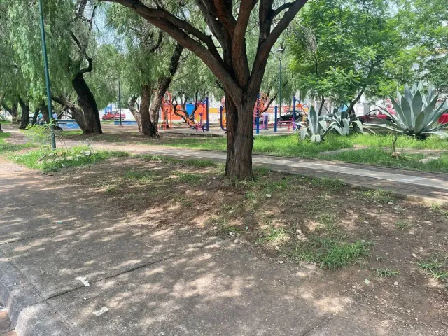 place photo 22