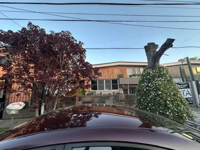 place photo 25