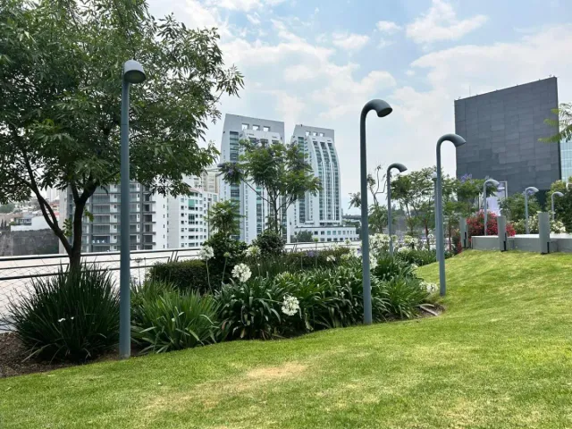 place photo 28