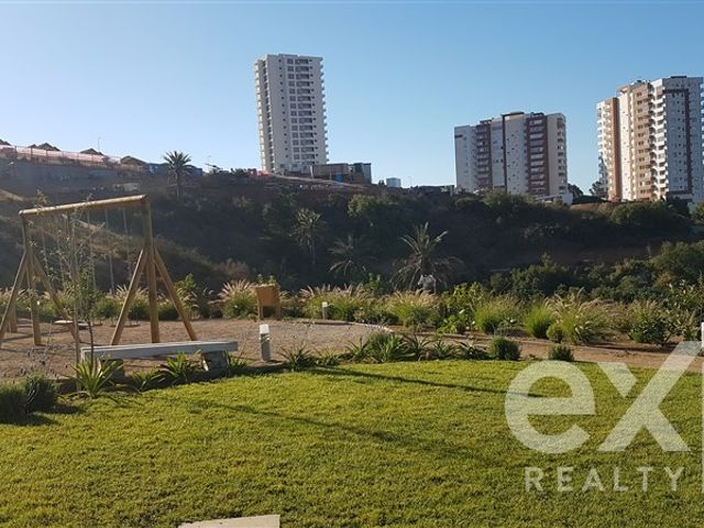 place photo 22