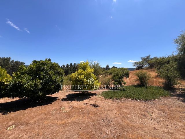 place photo 27