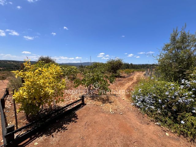 place photo 23