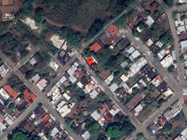 place photo 3