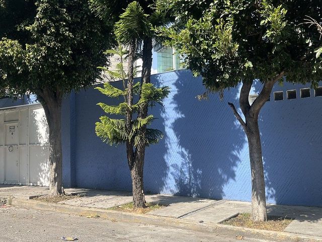 place photo 23
