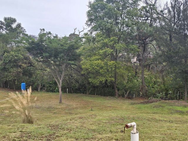 place photo 39