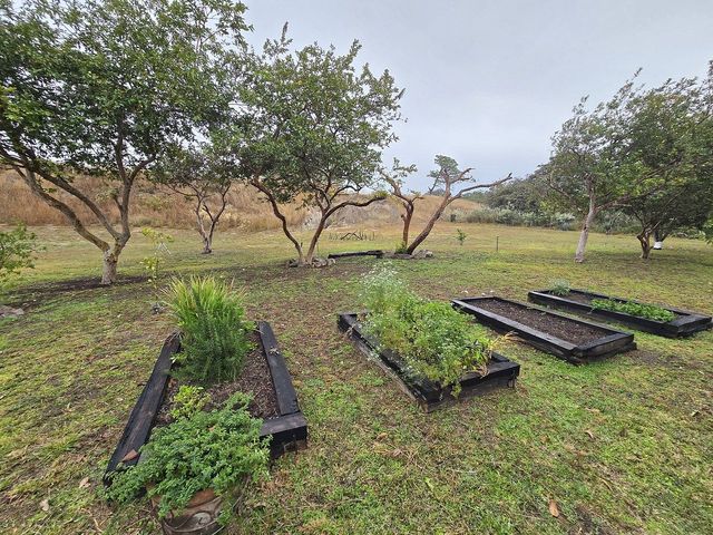 place photo 40