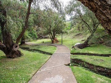 place photo 26