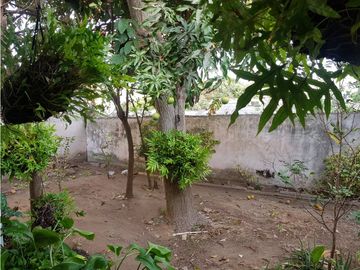 place photo 30