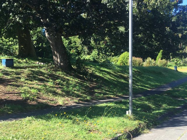 place photo 23