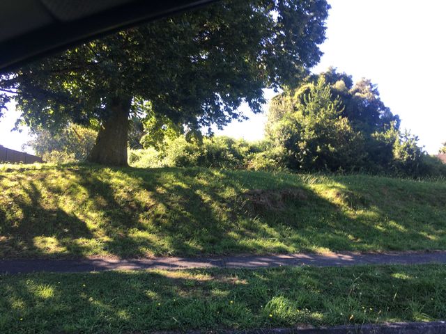 place photo 22