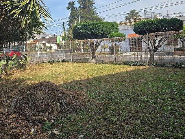 place photo 18