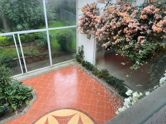place photo 31