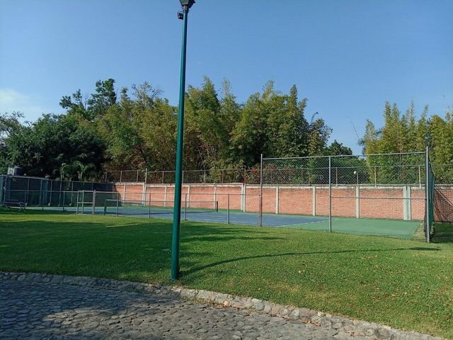 place photo 34