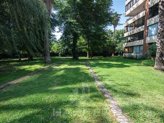 place photo 56