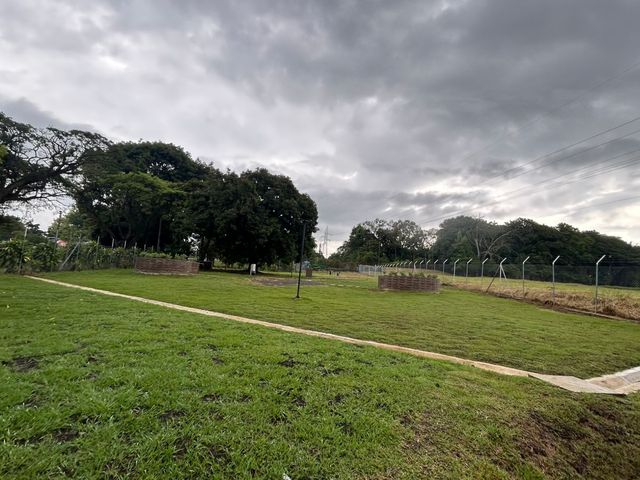 place photo 37