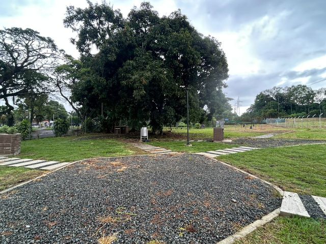 place photo 46