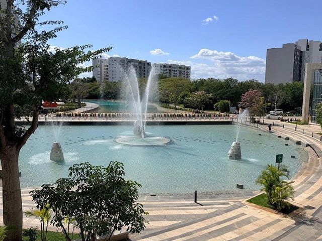 place photo 16