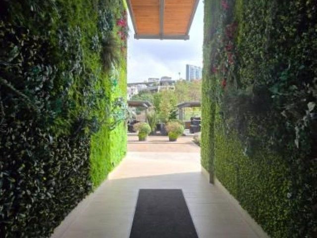place photo 36