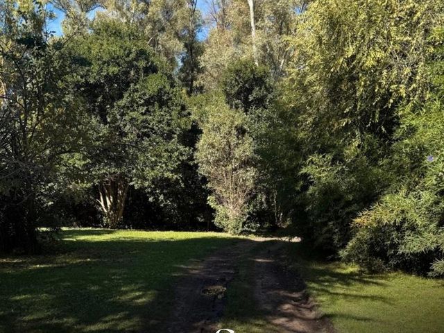 place photo 30