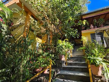 place photo 9