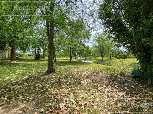 place photo 57