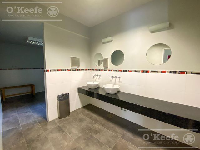 place photo 35