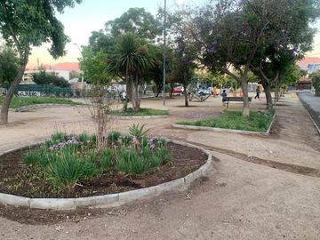 place photo 14