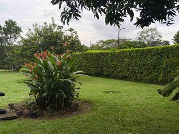 place photo 39