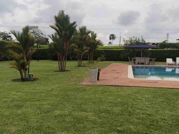 place photo 46
