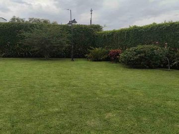 place photo 43