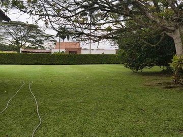 place photo 48