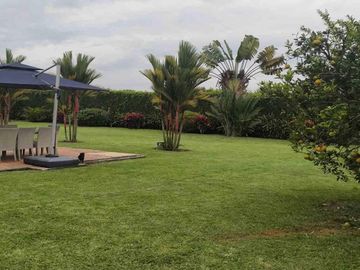 place photo 40