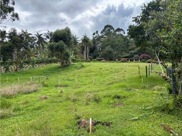 place photo 48