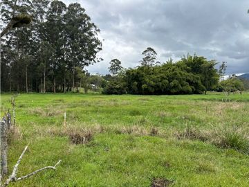 place photo 49